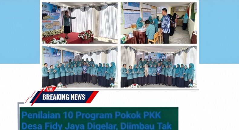 foto slider headline